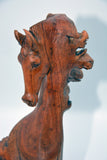 Horse Head - Parasite Wood